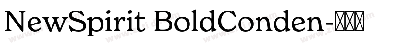 NewSpirit BoldConden字体转换